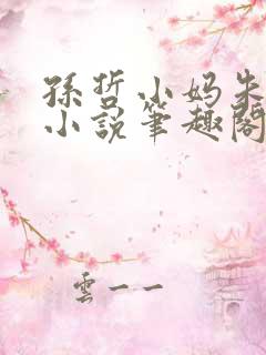 孙哲小妈朱颜的小说笔趣阁