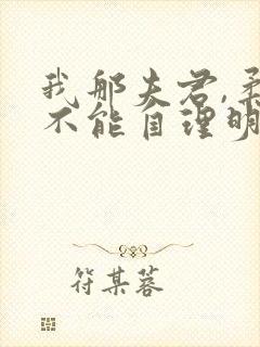 我那夫君,柔弱不能自理明决