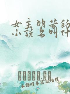 女主明若的穿越小说名叫什么