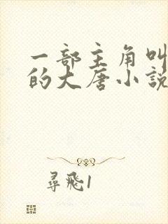 一部主角叫林凡的大唐小说