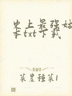 史上最强姑爷全本txt下载