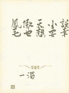 凤傲天小说的黄毛也想要幸福