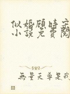 似婚顾时宋暖的小说免费阅读