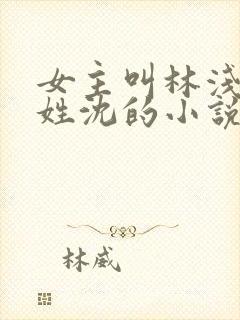 女主叫林浅男主姓沈的小说