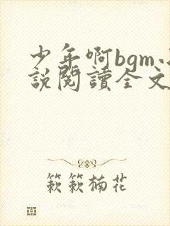 少年啊bgm小说阅读全文