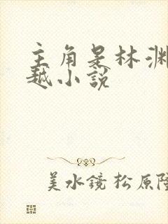 主角是林渊的穿越小说