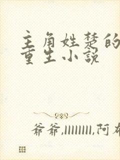 主角姓楚的穿越重生小说