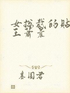 女总裁的贴身兵王萧晨