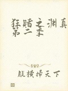 狂赌之渊真人版第二季