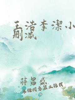 王浩李洁小说无删减