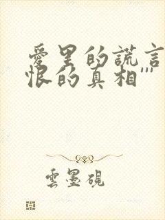 爱里的谎言,仇恨的真相'''