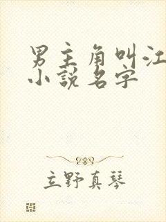 男主角叫江盛的小说名字