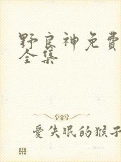 野良神免费观看全集