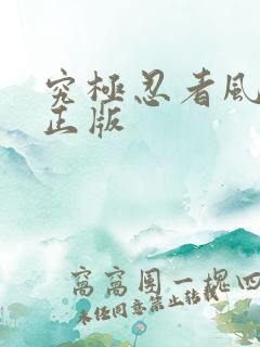 究极忍者风暴4正版