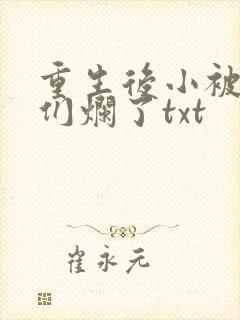 重生后小被男神们烂了txt