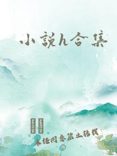 小说h合集