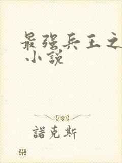 最强兵王之罗铮 小说