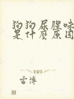 狗狗尿腥味很重是什么原因