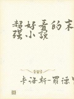 超好看的末世女强小说