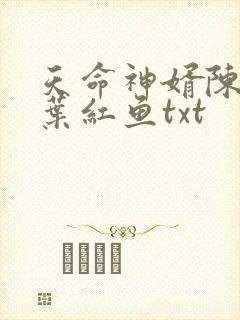 天命神婿陈黄皮叶红鱼txt