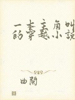 一本主角叫沈清的穿越小说