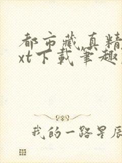 都市藏真精校txt下载笔趣阁