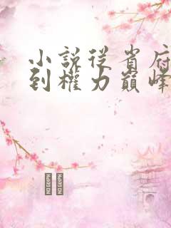 小说从省府大秘到权力巅峰