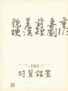 貌美前妻重生嫁硬汉短剧1/3