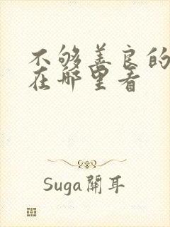 不够善良的我们在哪里看