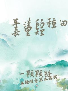 平淡的种田文家长里短