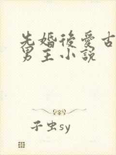 先婚后爱古耽双男主小说