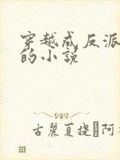 穿越成反派后娘的小说