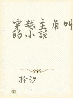 穿越主角叫李辰的小说