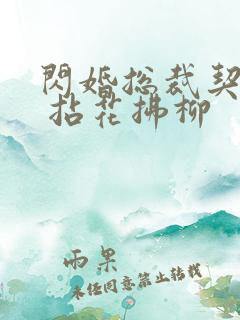 闪婚总裁契约妻 拈花拂柳