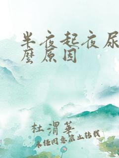 半夜起夜尿尿什么原因