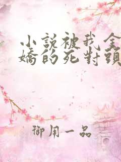 小说被我金屋藏娇的死对头在线阅读