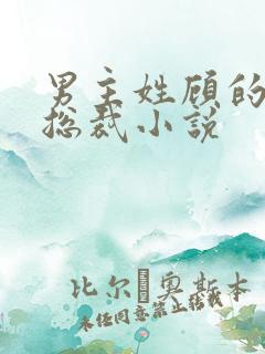 男主姓顾的现代总裁小说