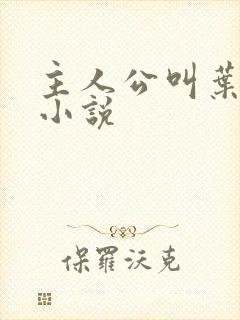 主人公叫叶渊的小说