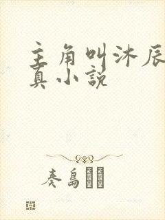 主角叫沐辰的修真小说