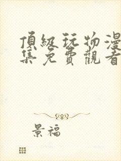 顶级玩物漫画全集免费观看下拉式