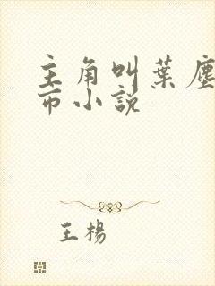 主角叫叶尘的都市小说