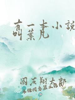 有一本小说主角叫叶凡