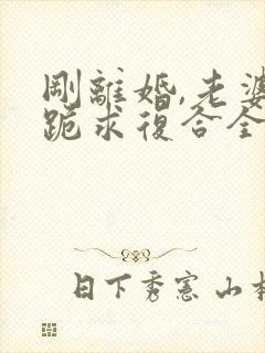 刚离婚,老婆就跪求复合全本txt下载