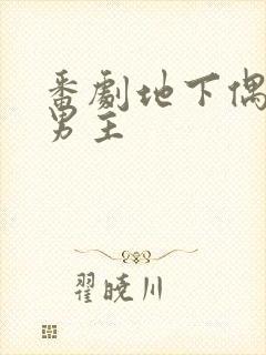 番剧地下偶像双男主