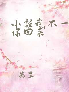小说我不一定要你回来