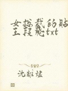 女总裁的贴身兵王段飞txt