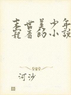 末世美少年被攻宠着的小说