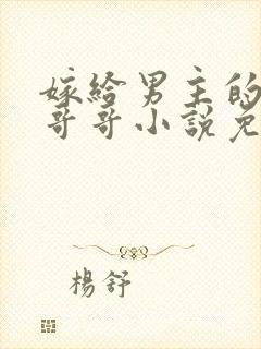 嫁给男主的聋哑哥哥小说免费阅读