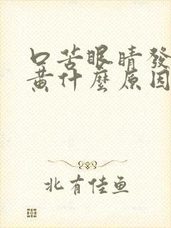 口苦眼睛发黄尿黄什么原因