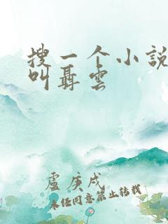 搜一个小说主角叫聂云